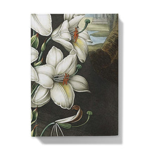 White Lilies is a vintage horticultural design available on wall art, phone and tablet cases, cushions, tote bags, notebooks, mugs and more