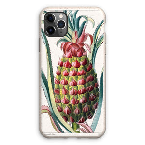 'Pineapple' is part of our collection of vintage horticultural, hand drawn and painted prints. This fun, vibrant and vintage tropical design is available on wall art, phone and tablet cases, cushions, tote bags, notebooks, mugs and more.