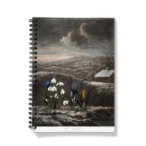 'Snowdrops' is part of our collection of vintage horticultural, hand drawn and painted prints