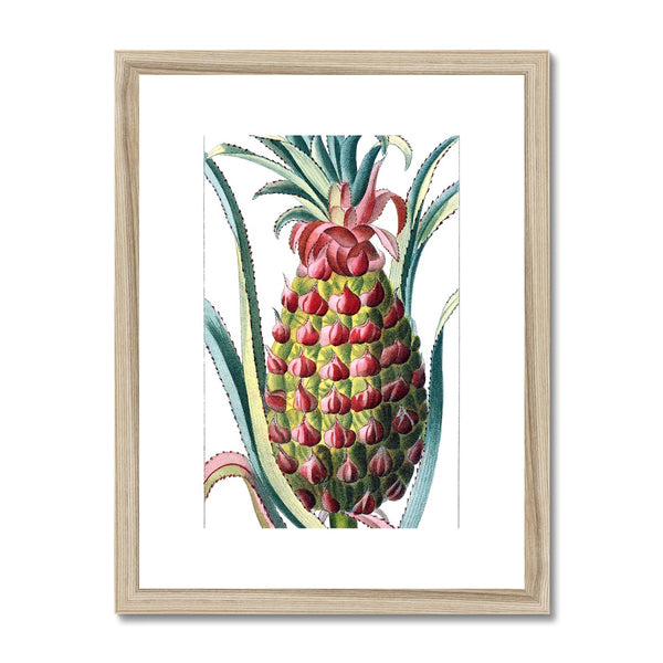 Pineapple Framed & Mounted Print