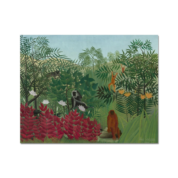 Tropical Forest & Monkeys Photo Art Print