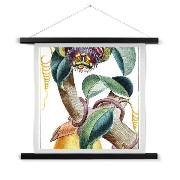 Lemons Fine Art Print with Hanger