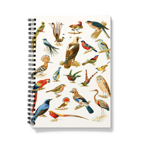 Birds of Paradise Notebook