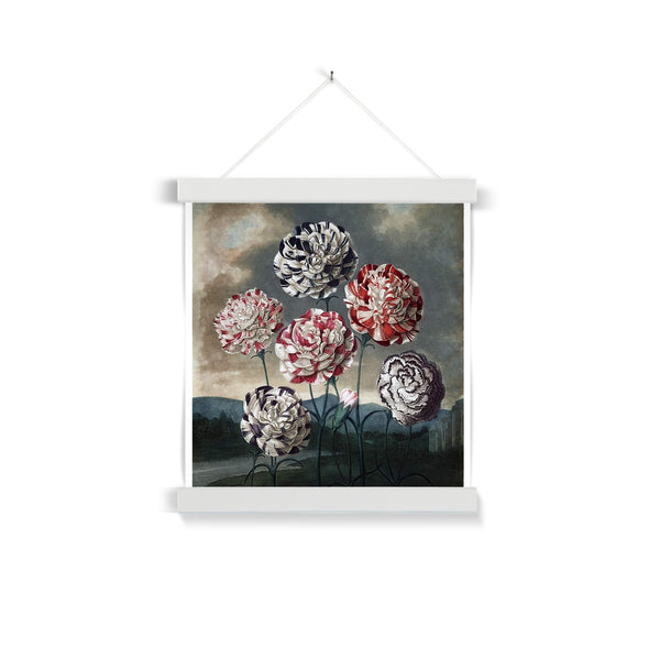 Carnations Fine Art Print with Hanger