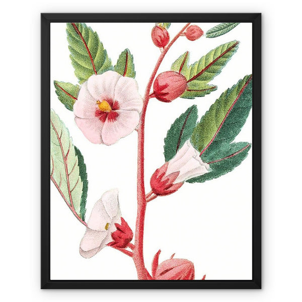 Roselle Framed Canvas