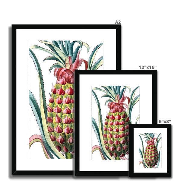 Pineapple Framed & Mounted Print