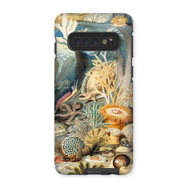 Ocean Life Tough Phone Case