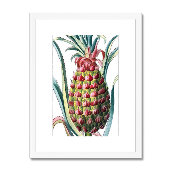 Pineapple Framed & Mounted Print