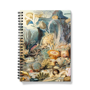 Ocean Life Notebook