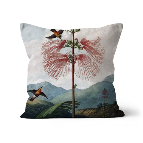 Calliandra Houstoniana Cushion