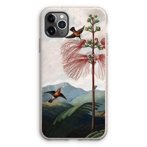 Calliandra Houstoniana Eco Phone Case