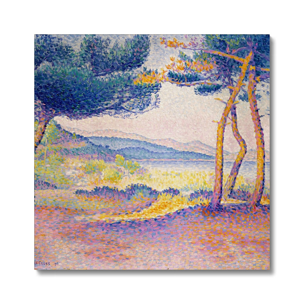 Pines Along the Shore Canvas