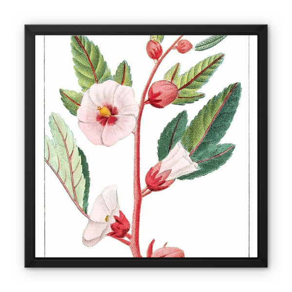 Roselle Framed Canvas