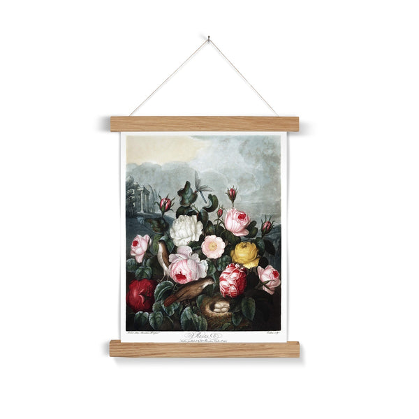 Roses Fine Art Print with Hanger