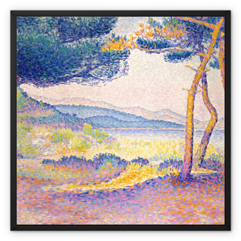 Pines Along the Shore Framed Canvas