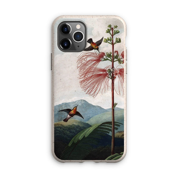 Calliandra Houstoniana Eco Phone Case