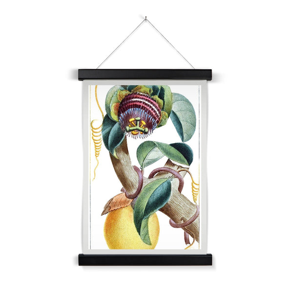 Lemons Fine Art Print with Hanger