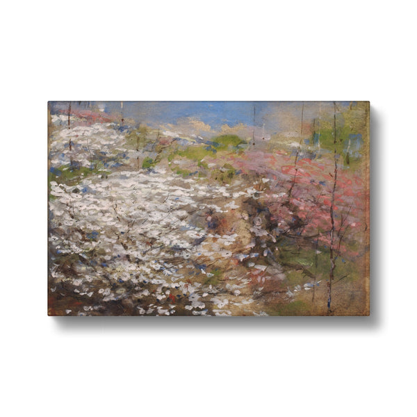 Field of Blossoms Eco Canvas