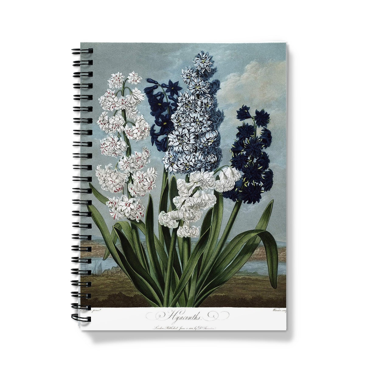 Hyacinths Notebook