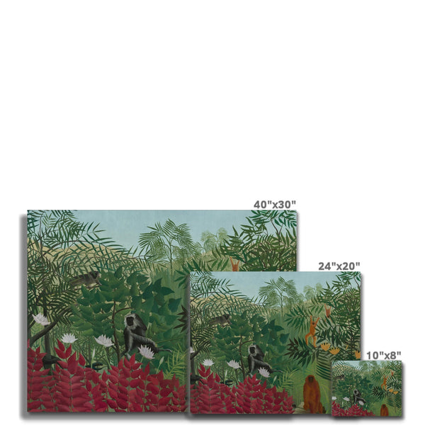 Tropical Forest & Monkeys Canvas