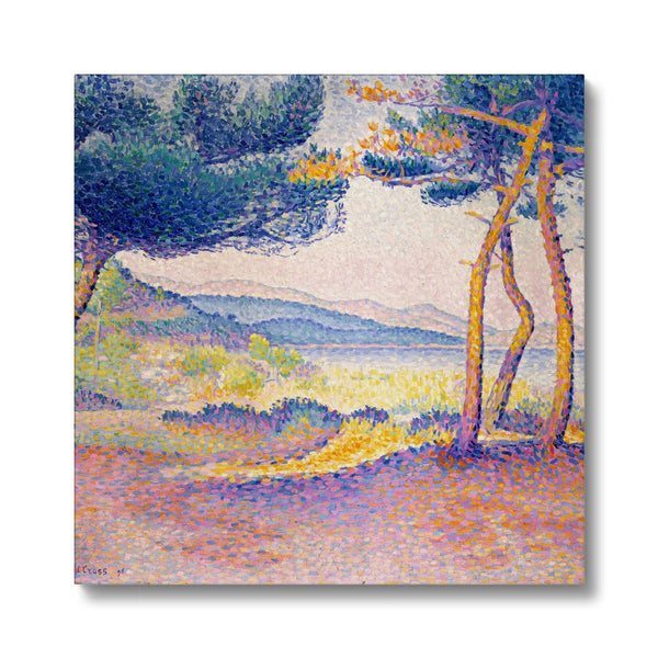 Pines Along the Shore Eco Canvas