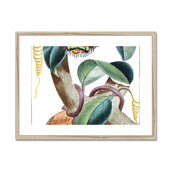 Lemons Framed & Mounted Print