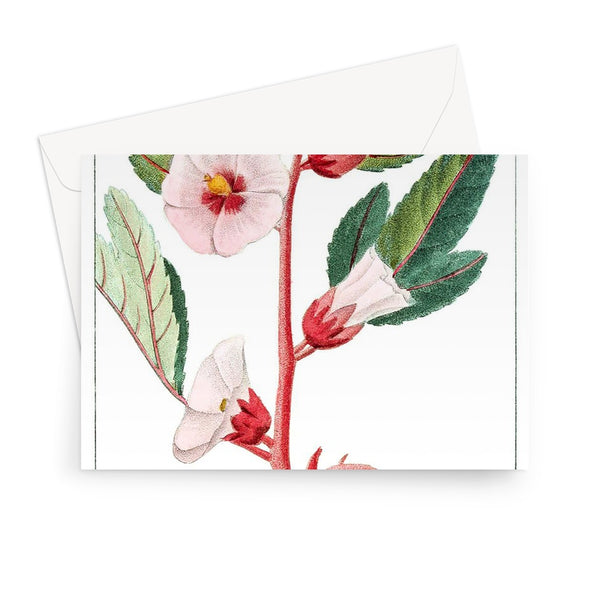 Roselle Greeting Card