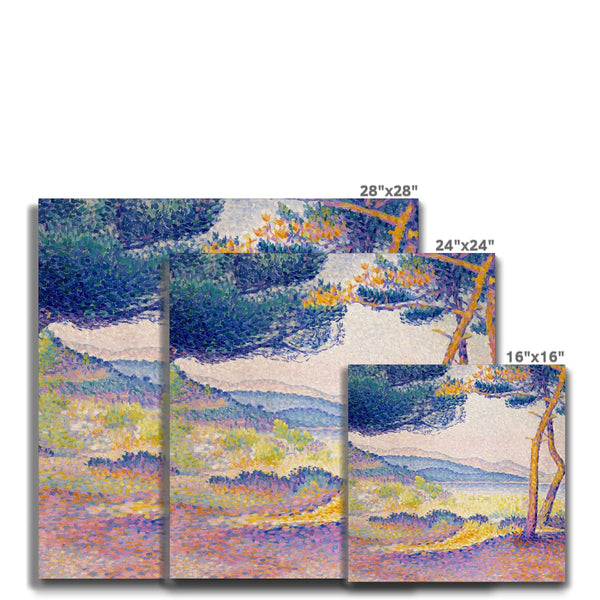 Pines Along the Shore Canvas