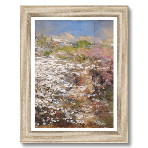 Field of Blossoms Framed Print