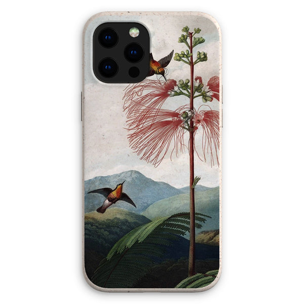 Calliandra Houstoniana Eco Phone Case