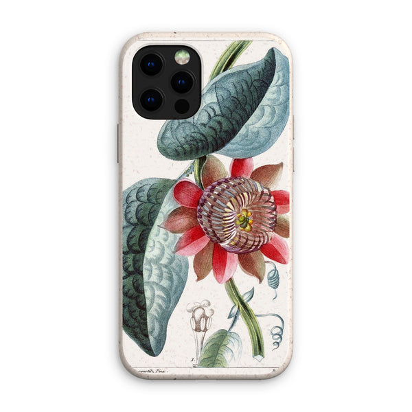 Giant Granadilla Eco Phone Case