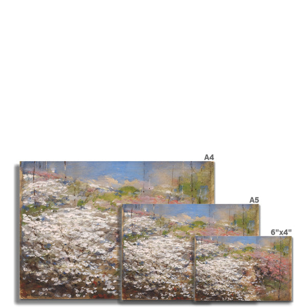 Field of Blossoms Fine Art Print