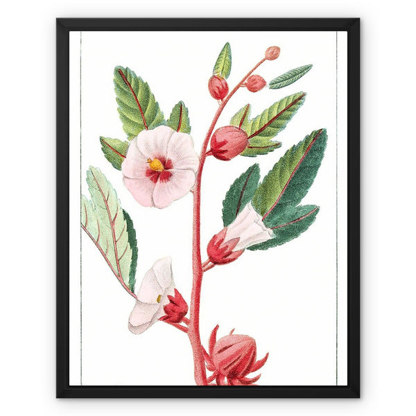 Roselle Framed Canvas