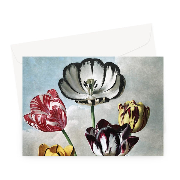 Tulips Greeting Card