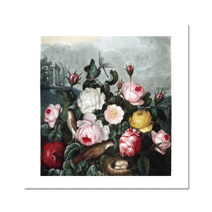 Roses Fine Art Print