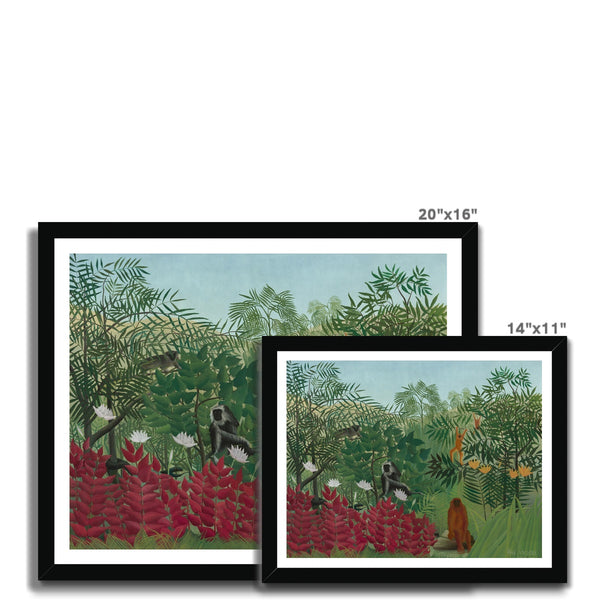 Tropical Forest & Monkeys Framed Print