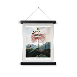 Calliandra Houstoniana Fine Art Print with Hanger