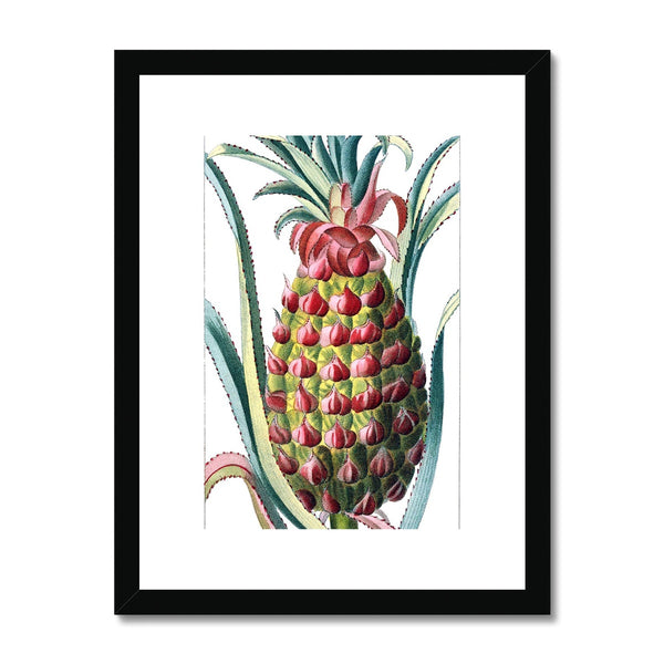 Pineapple Framed & Mounted Print