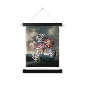 Carnations Fine Art Print with Hanger