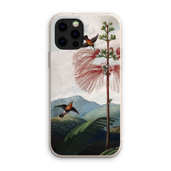 Calliandra Houstoniana Eco Phone Case