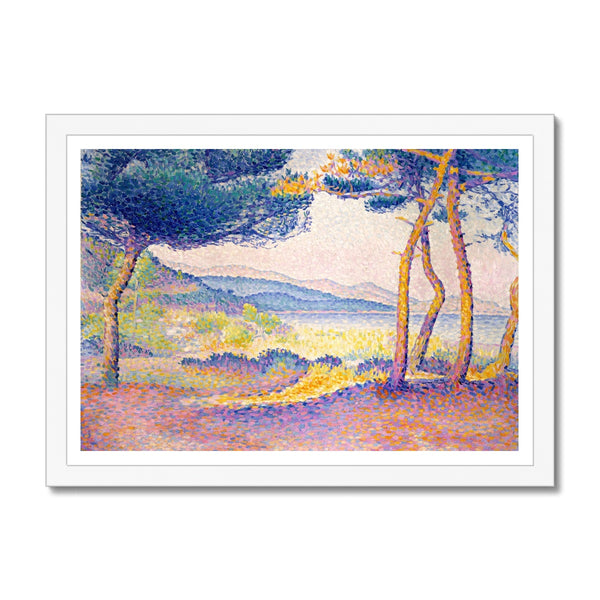 Pines Along the Shore Framed Print