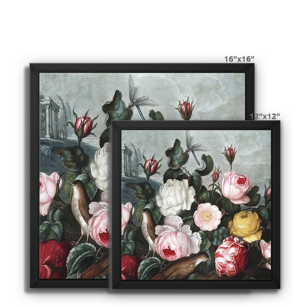 Roses Framed Canvas