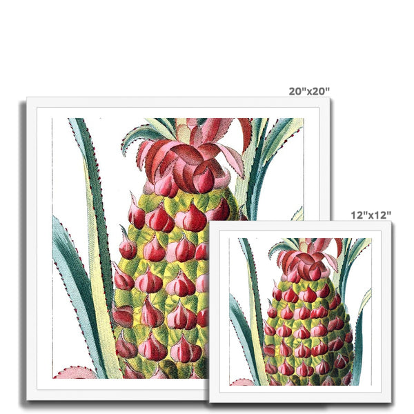 Pineapple Framed Print