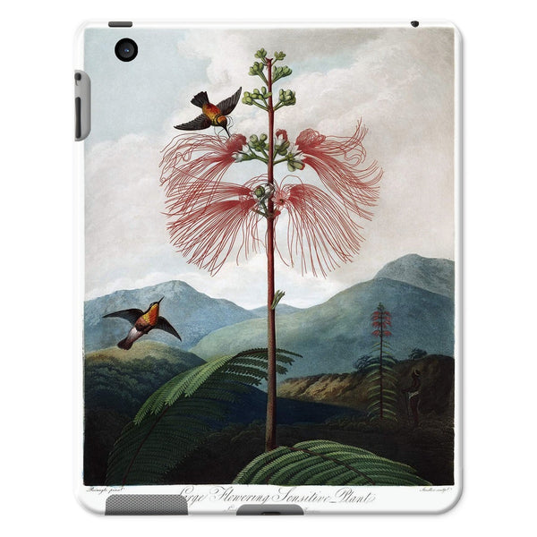 Calliandra Houstoniana Tablet Cases