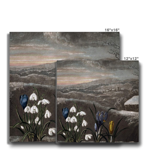 Snowdrops Canvas