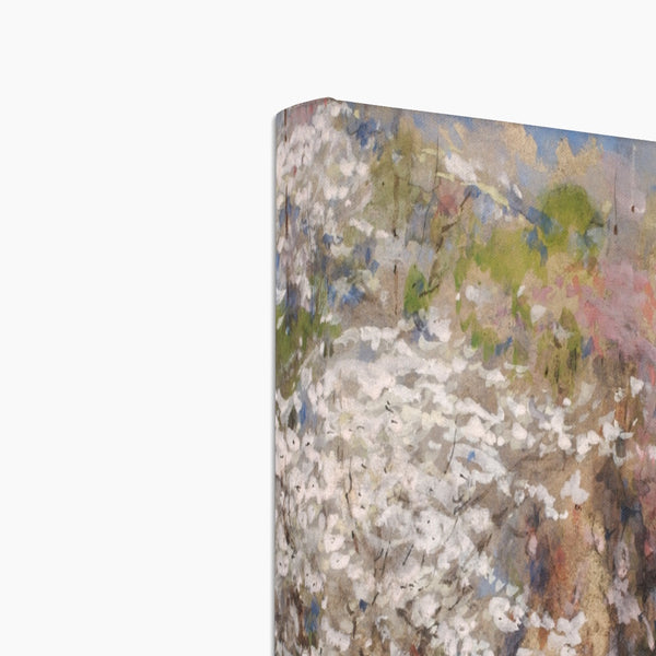 Field of Blossoms Canvas