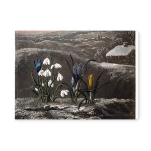 Snowdrops Placemat