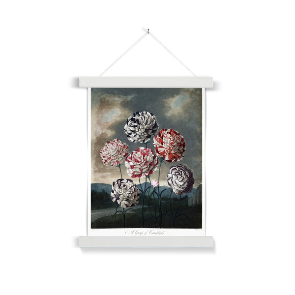 Carnations Fine Art Print with Hanger