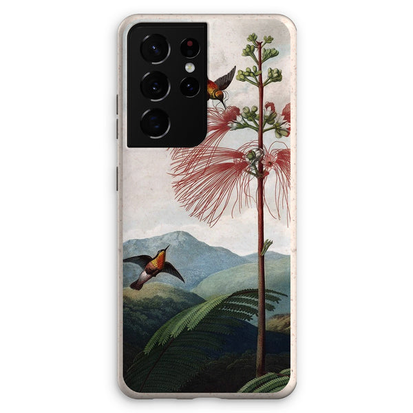 Calliandra Houstoniana Eco Phone Case