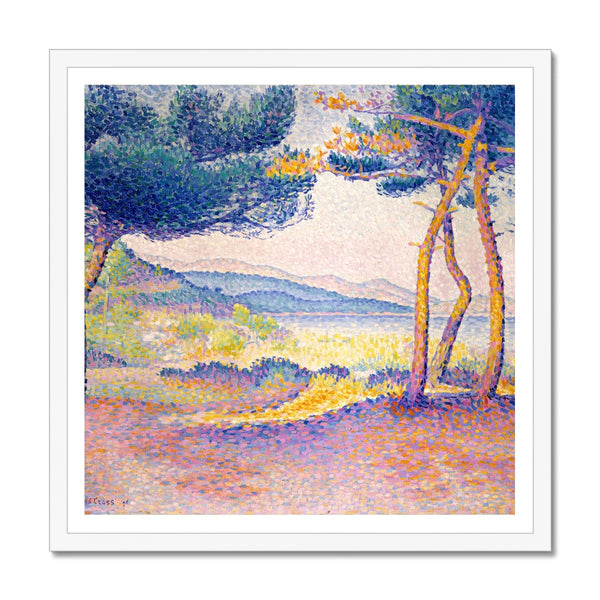 Pines Along the Shore Framed Print